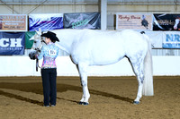 AJB_1694