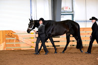 AJB_0177