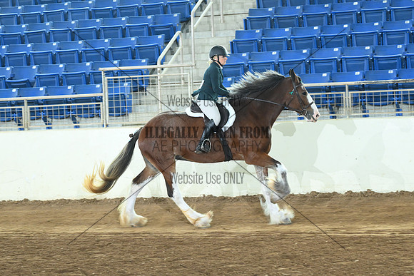 AJB_8112