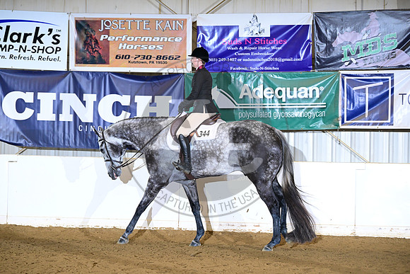 AJB_2401