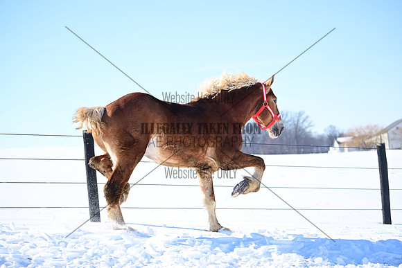 file_177265194496