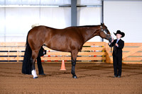 AJB_0029