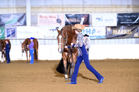 AJB_8290