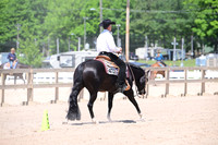 AJB_7095