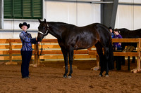 AJB_0233