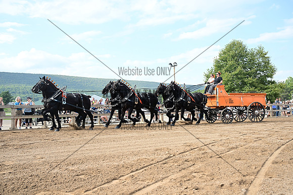 AJB_0419