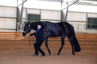 AJB_4904