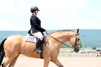 AJB_6165