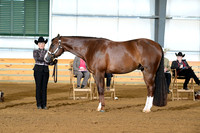 AJB_0969