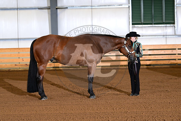 AJB_0103