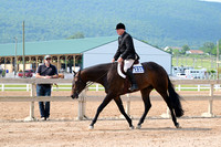 AJB_6356