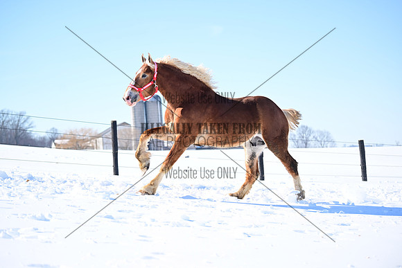 file_177349365248