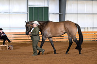AJB_0838