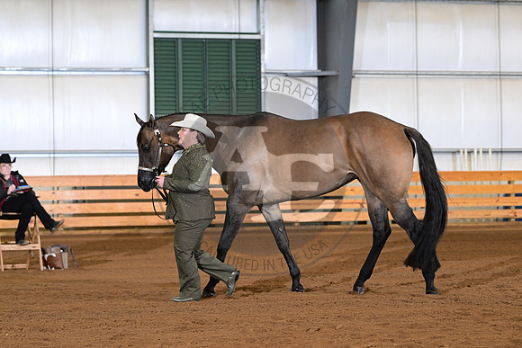 AJB_0838