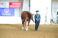 AJB_8816