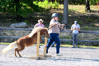 AJB_1178