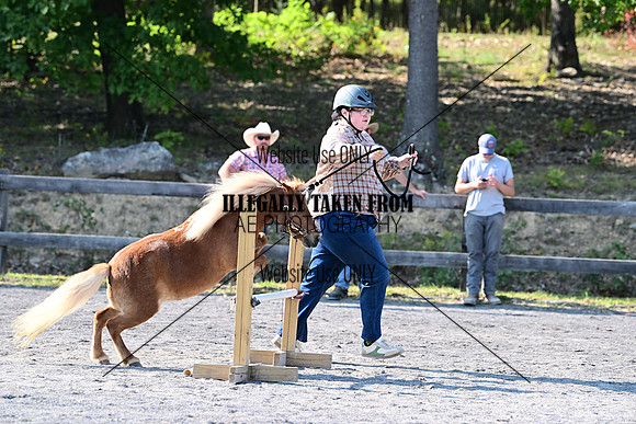 AJB_1178