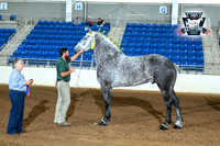 AJB_4906