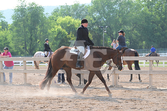 AJB_6736
