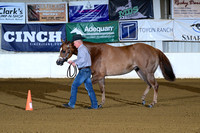 17. Three Year Old Mares