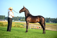 AJB_0519
