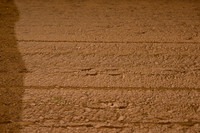 AJB_0555