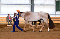 AJB_0807