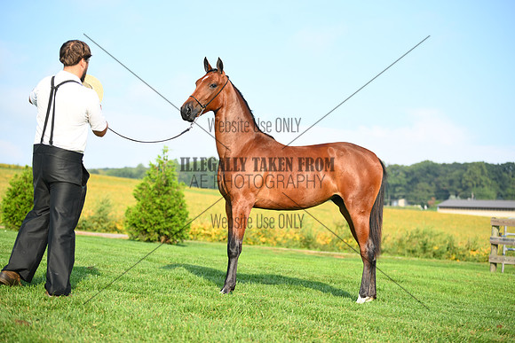 AJB_0751