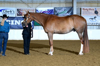 AJB_1644