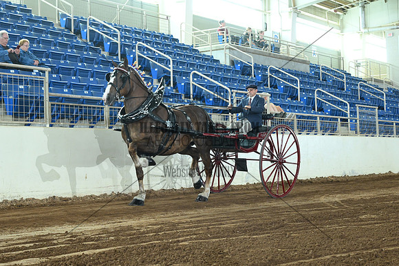 AJB_5445
