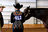 AJB_0253