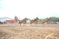 AJB_0544