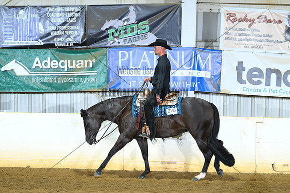 AJB_3408