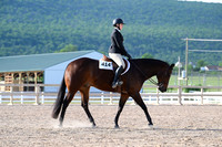 AJB_3531