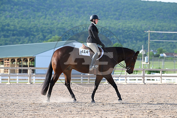 AJB_3531