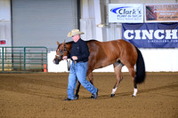 16. 2 Year Old Mares