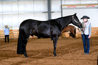 AJB_5501