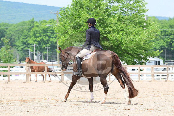AJB_6201