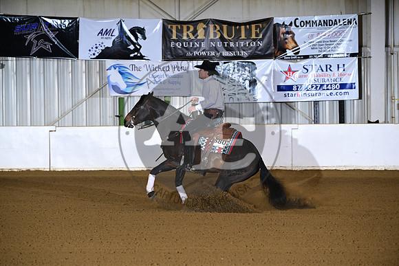 AJB_0291