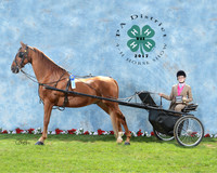 4-H District VII