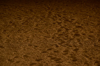 AB1_3453
