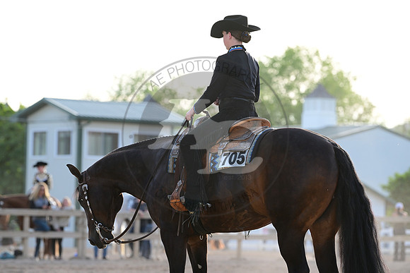 AJB_0528