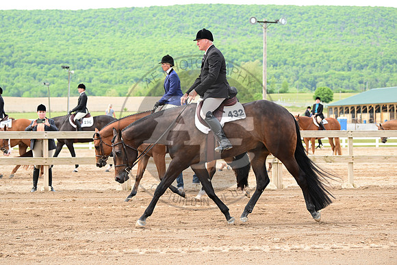 AJB_2466