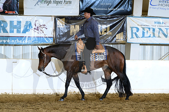 AJB_0492