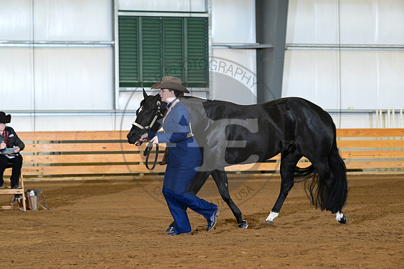 AJB_1362