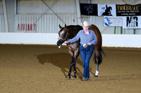 16. Two Year Old Mares