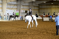 8. Level 1 YTH HUS 13 & Under