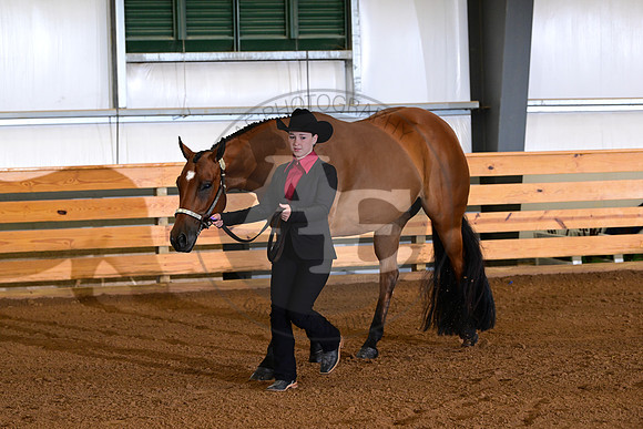 AJB_0099