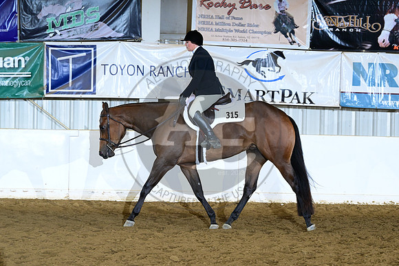 AJB_9508