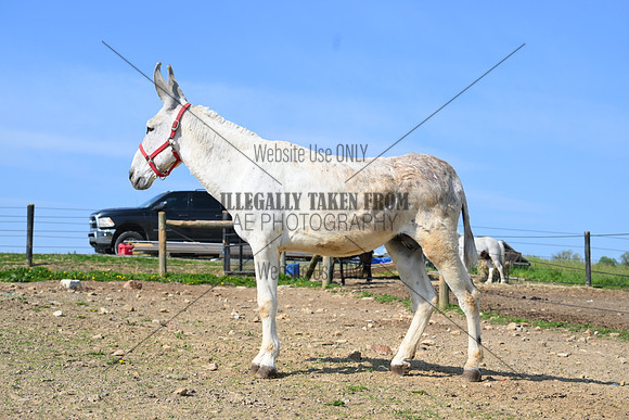 file_255652897792